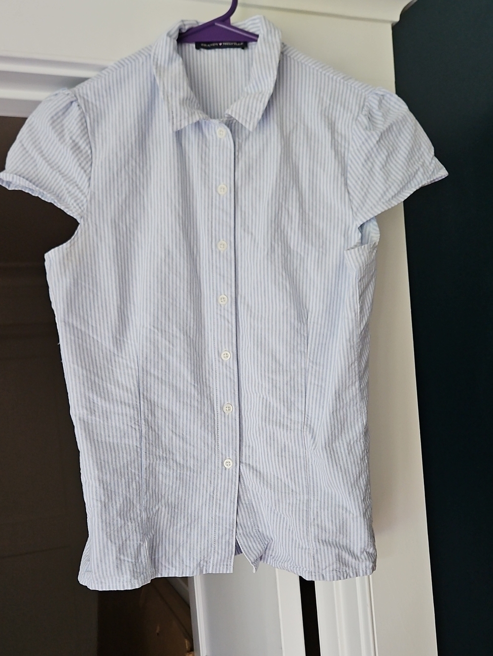 Brandy Melville Light Blue Pinstripe Short Sleeve Button Up Blouse (One Size)